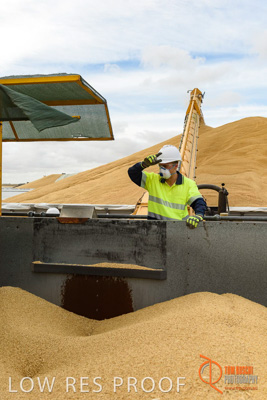 December 2016 / DOOEN_125_161214_DSC0121