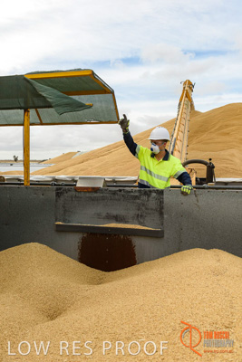 December 2016 / DOOEN_129_161214_DSC0127