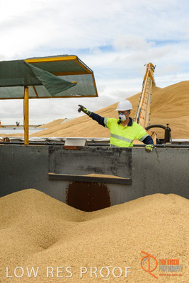 December 2016 / DOOEN_130_161214_DSC0130