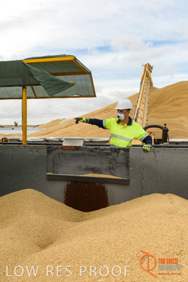 December 2016 / DOOEN_131_161214_DSC0131