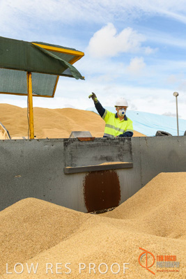 December 2016 / DOOEN_133_161214_DSC0137