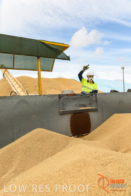 December 2016 / DOOEN_134_161214_DSC0139