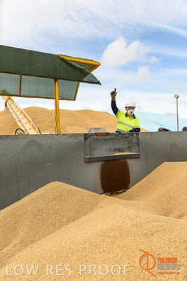 December 2016 / DOOEN_135_161214_DSC0140