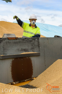 December 2016 / DOOEN_136_161214_DSC0143