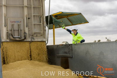 December 2016 / DOOEN_196_161214_DSC0235