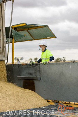 December 2016 / DOOEN_198_161214_DSC0237