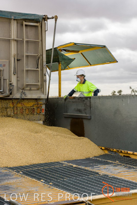 December 2016 / DOOEN_205_161214_DSC0247