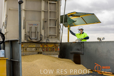 December 2016 / DOOEN_206_161214_DSC0249