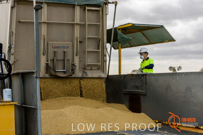 December 2016 / DOOEN_210_161214_DSC0254