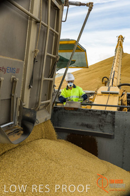 December 2016 / DOOEN_214_161214_DSC0259