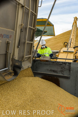 December 2016 / DOOEN_215_161214_DSC0260