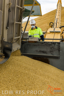 December 2016 / DOOEN_218_161214_DSC0263