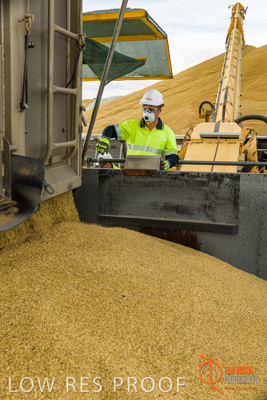 December 2016 / DOOEN_219_161214_DSC0266