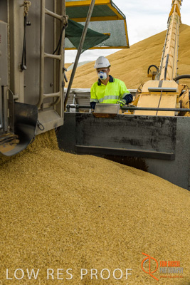 December 2016 / DOOEN_220_161214_DSC0267