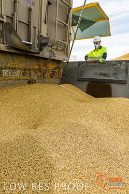 December 2016 / DOOEN_228_161214_DSC0279