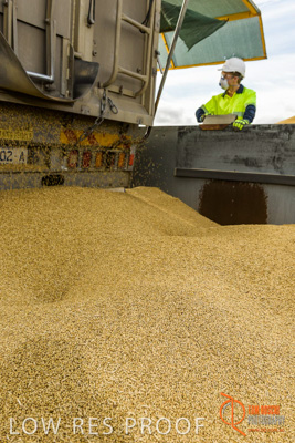 December 2016 / DOOEN_229_161214_DSC0280