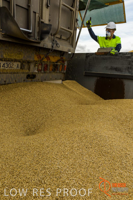 December 2016 / DOOEN_230_161214_DSC0282