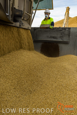 December 2016 / DOOEN_232_161214_DSC0285