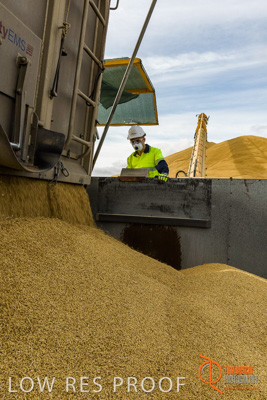 December 2016 / DOOEN_234_161214_DSC0287