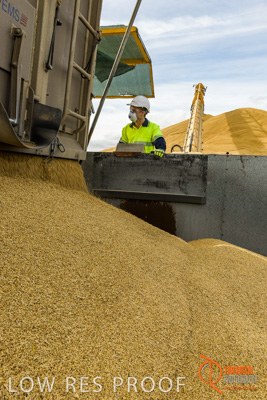 December 2016 / DOOEN_235_161214_DSC0288