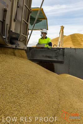 December 2016 / DOOEN_236_161214_DSC0289