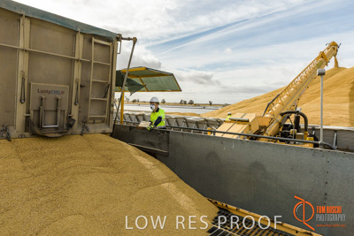 December 2016 / DOOEN_242_161214_DSC0298