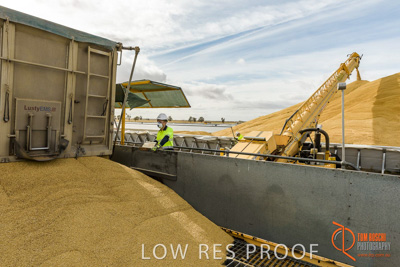 December 2016 / DOOEN_243_161214_DSC0299