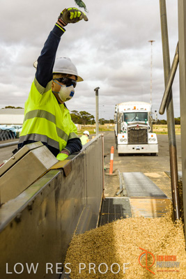 December 2016 / DOOEN_257_161214_DSC0318