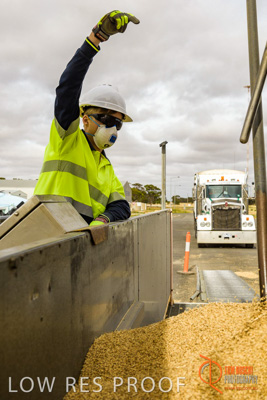 December 2016 / DOOEN_262_161214_DSC0326