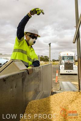 December 2016 / DOOEN_263_161214_DSC0327