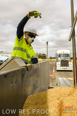 December 2016 / DOOEN_264_161214_DSC0329