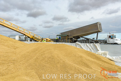 December 2016 / DOOEN_270_161214_DSC0344