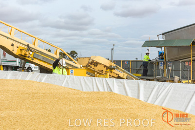 December 2016 / DOOEN_271_161214_DSC0347