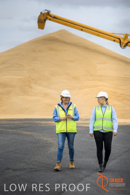 December 2016 / WOLSELEY_233_161214_DSC0826