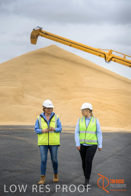 December 2016 / WOLSELEY_234_161214_DSC0829