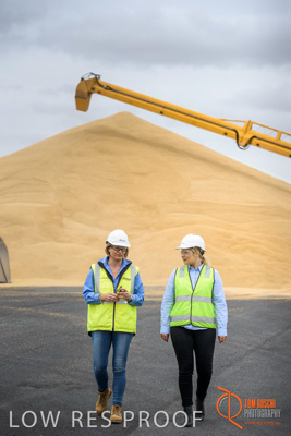 December 2016 / WOLSELEY_236_161214_DSC0831