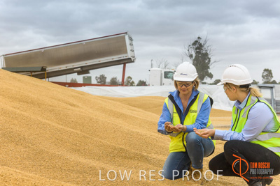 December 2016 / WOLSELEY_301_161214_DSC0990