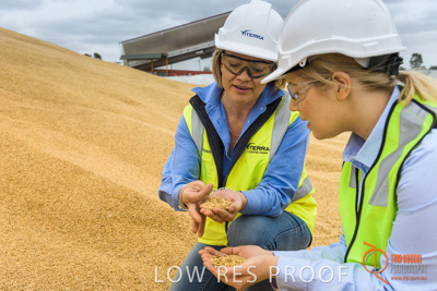 December 2016 / WOLSELEY_304_161214_DSC0997