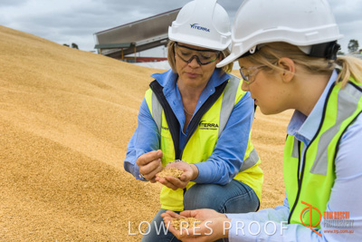 December 2016 / WOLSELEY_305_161214_DSC0998