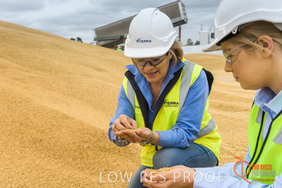 December 2016 / WOLSELEY_307_161214_DSC1005