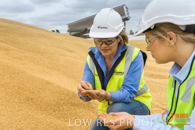 December 2016 / WOLSELEY_308_161214_DSC1007