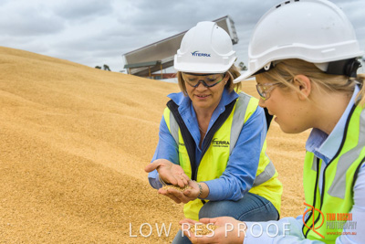 December 2016 / WOLSELEY_310_161214_DSC1010