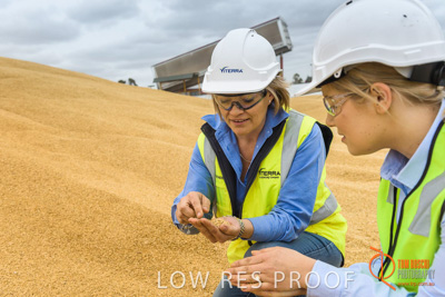 December 2016 / WOLSELEY_311_161214_DSC1013