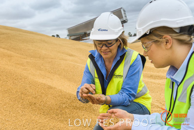 December 2016 / WOLSELEY_312_161214_DSC1014