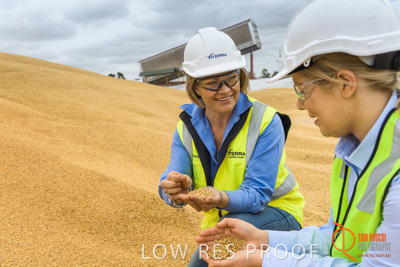 December 2016 / WOLSELEY_316_161214_DSC1020