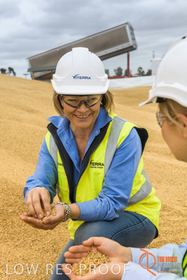 December 2016 / WOLSELEY_317_161214_DSC1023