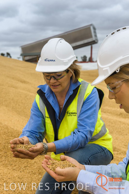 December 2016 / WOLSELEY_318_161214_DSC1029