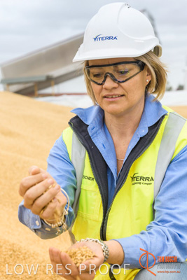 December 2016 / WOLSELEY_324_161214_DSC1045