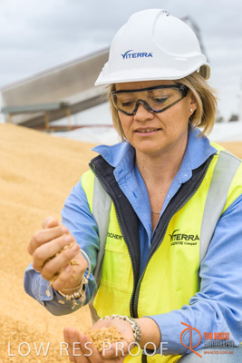 December 2016 / WOLSELEY_325_161214_DSC1046