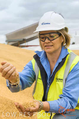 December 2016 / WOLSELEY_330_161214_DSC1055